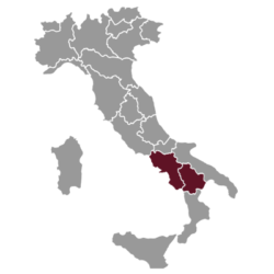 Molti tratti comuni di queste terre tra montagne e colline, brezze marine che mitigano gli inverni e terreni minerali del Vesuvio che creano vini ricchi di sali e aromi inaspettati.