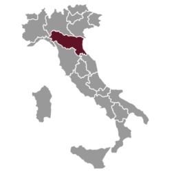 Emilia Romagna. Storicamente vini abbordabili, piacevoli, economici. Qui ci sono le sedi delle cantine italiane più grandi, con grande spirito cooperativo e di lavoro condiviso.