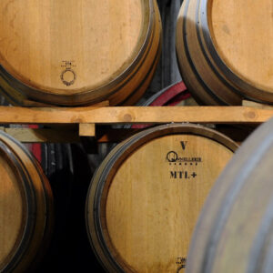 cantina_header-1
