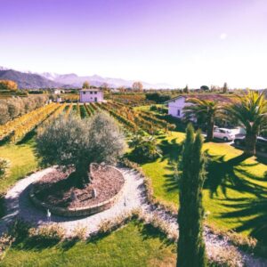 Cantine Federici