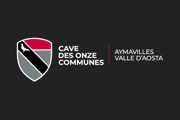 cavedesonzelogo