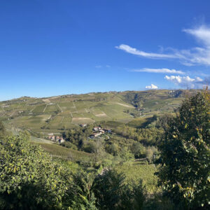 Azienda Agricola Abellonio