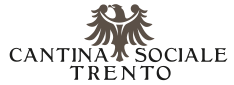 logo-1