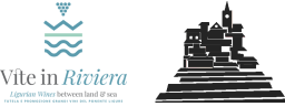 logo-doppio-256×97 logo-doppio-256×97