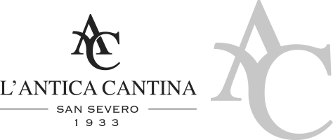 sanseverologo