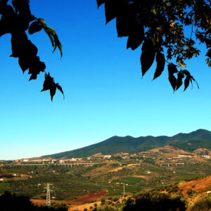 Cantine del Notaio