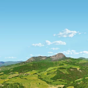 Bonelli