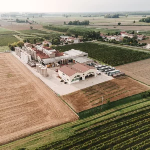 Gualtieri