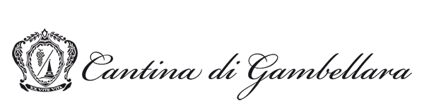 MARCHIO-completo-provvisorio-1