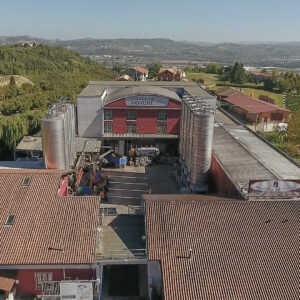 Produttori di Govone