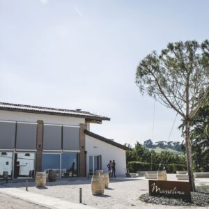 Tenuta Masselina