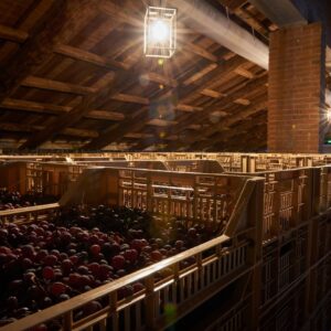 Montresor