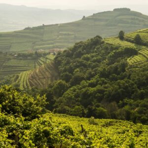 Cantina di Soave