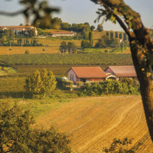 Bertagna