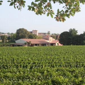 Cantina Gozzi