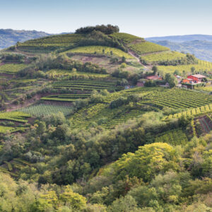 Cantina Monteforte