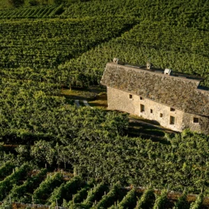 La Perla