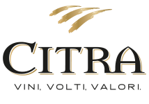 logo_Citra_black