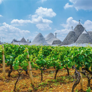 Orion wines