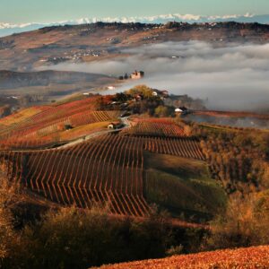 Terre del Barolo