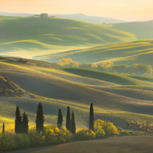 Le Chiantigiane