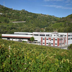 vallebelbo