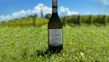 vino-696x464 vino-696x464