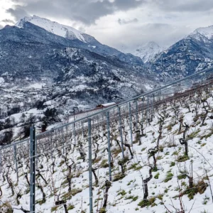 Rosset Terroir