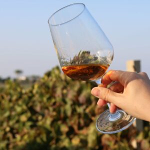 Cantina Marilina