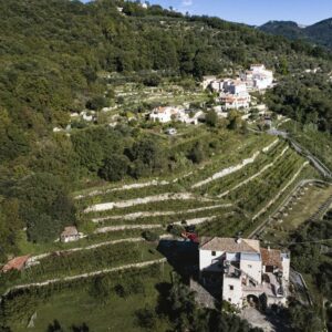 Cantina Sancio