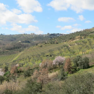Basilisco