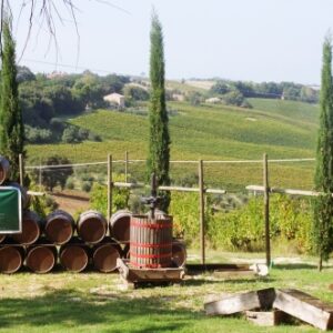 Antica Cantina Sant'Amico