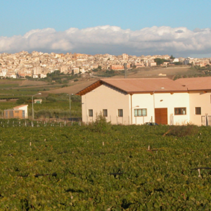 Monte Olimpo