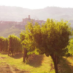 Poderi Gianni Gagliardo
