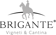 LOGO_BRIGANTE-VIGNETI-CANTINA_web