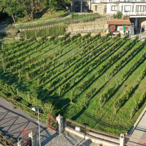 Cantina Riccio