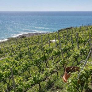 Podere Grecale