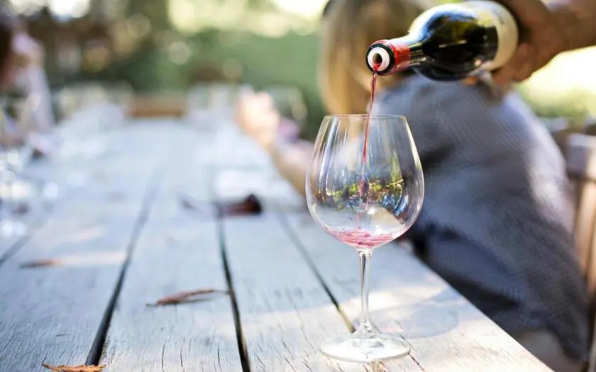 Vino-840x525