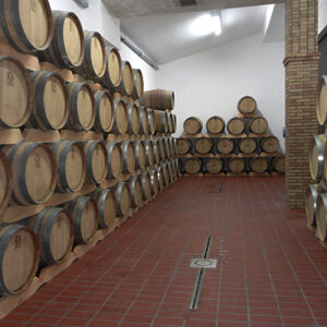 Cantine Salvatore
