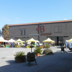 Cantina Bacco
