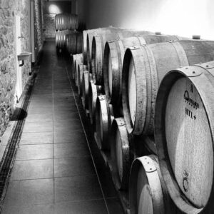 Cantine Barone