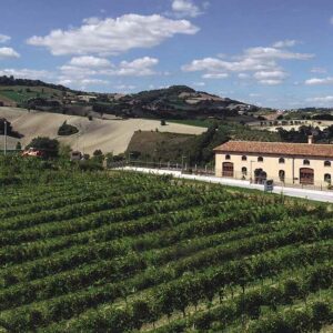 Colognola Tenuta Musone