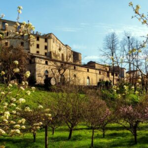 Cantine di Marzo