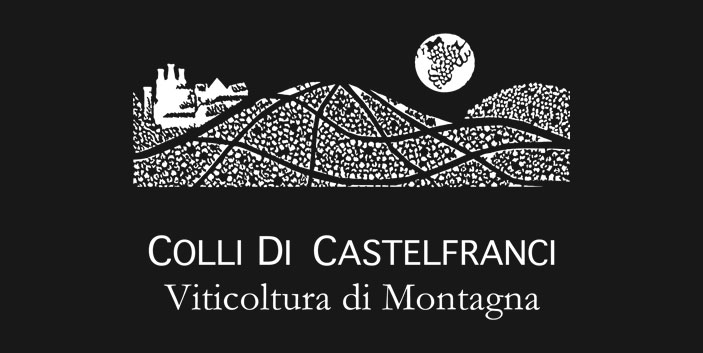 collidicastelfrancilogo