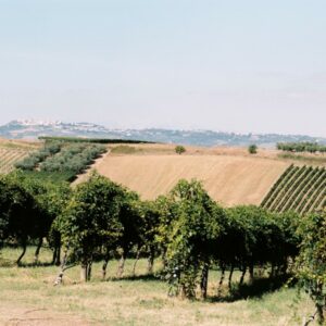 Di Majo Norante