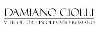 logo-black
