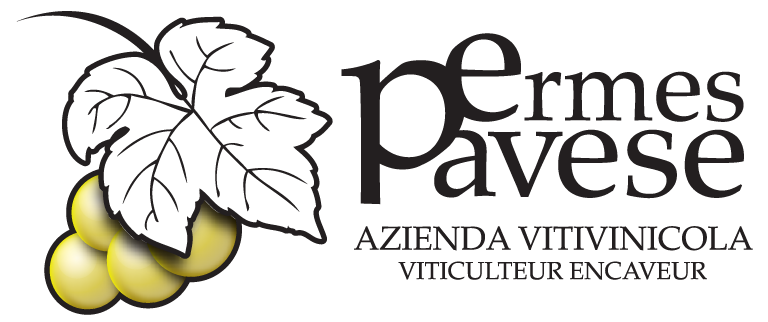 logo-ermes-pavese logo-ermes-pavese
