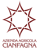 logo_Cianfagna