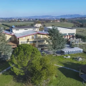 Nestore Bosco