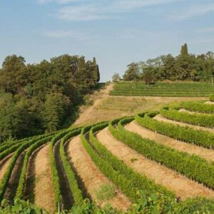 Bastianich